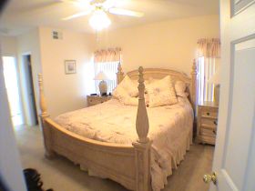 butterfly crossing - click to enlarge