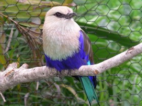 Natures Way Cypress Gardens