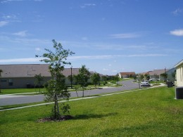 Spacious and well lit  Orange Tree