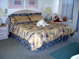 MASTER BEDROOM - click to enlarge